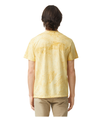 Color Blast Adult T-Shirt CITRINE Back