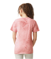 Color Blast Adult T-Shirt CLAY Back