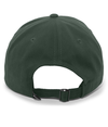 Brushed Cotton Twill Cap HUNTER Back