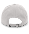 Brushed Cotton Twill Cap SILVER Back