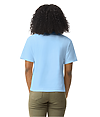 3023CL-CHAMBRAY_BACK.jpg
