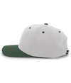 Cotton Poly Cap SILVER/DARK GREEN lside