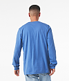 3501CVC-HEATHERCOLUMBIABLUE_BACK.jpg