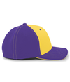 M2 Performance Flexfit GOLD/PURPLE/PURPLE rside