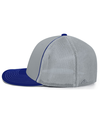 Trucker Pacflecx SILVER/ROYAL lside