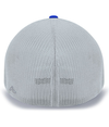 Trucker Pacflecx SILVER/ROYAL Back
