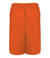 411900-BURNTORANGE_BACK.jpg