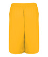 411900-GOLD_BACK.jpg