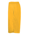 411900-GOLD_SIDE.jpg