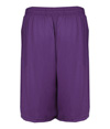 411900-PURPLE_BACK.jpg