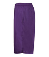 411900-PURPLE_SIDE.jpg