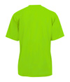 412000-LIME_BACK.jpg