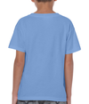 Heavy Cotton Youth T-Shirt CAROLINA BLUE Back