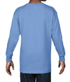 Heavy Cotton Youth Long Sleeve CAROLINA BLUE Back