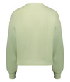 5424-CELERY_BACK.jpg