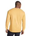 6014-MUSTARD_BACK.jpg