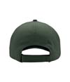 7645-GREEN_BACK.jpg
