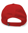 Coolport Mesh Cap CARDINAL Back