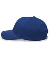 Coolport Mesh Cap ROYAL lside