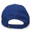 Coolport Mesh Cap ROYAL Back