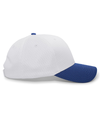 Coolport Mesh Cap SILVER/ROYAL rside