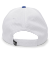 Coolport Mesh Cap SILVER/ROYAL Back