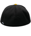 Perforated Flexfit Cap BLACK/GOLD Back
