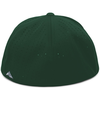 Perforated Flexfit Cap SILVER/DARK GREEN/SILVER Back