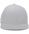 Perforated Flexfit Cap SILVER Front