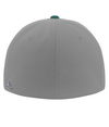 Premium A/C Flexfit Cap SILVER/DARK GREEN Back