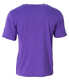 N3013-PURPLE_BACK.jpg
