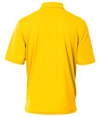 N3040-GOLD_BACK.jpg