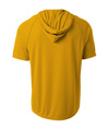 N3408-GOLD_BACK.jpg