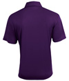 N3520-PURPLE_BACK.jpg