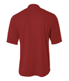 Youth Tek 2-Button Henley CARDINAL Back