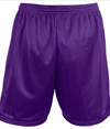 NB5294-PURPLE_BACK.jpg