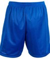 NB5294-ROYAL_BACK.jpg