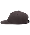 P299-BROWN_LSIDE.jpg