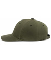 P299-MOSS_LSIDE.jpg