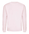 Youth College Sweat BABY PINK BACK