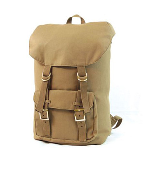 Voyager Canvas Backpack