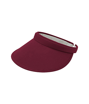 Clip On Visor