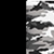 BLACK/WHITE CAMO