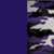PURPLE/PURPLE CAMO