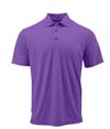 Saratoga Polo GRAPE