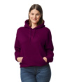 DryBlend Hooded Sweatshirt MAROON