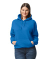 DryBlend Hooded Sweatshirt ROYAL