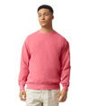 Adult Crewneck Sweatshirt WATERMELON
