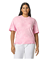 Color Blast Adult T-Shirt HIBISCUS