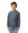 Heavy Blend Youth Crewneck DARK HEATHER